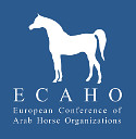 ECAHO